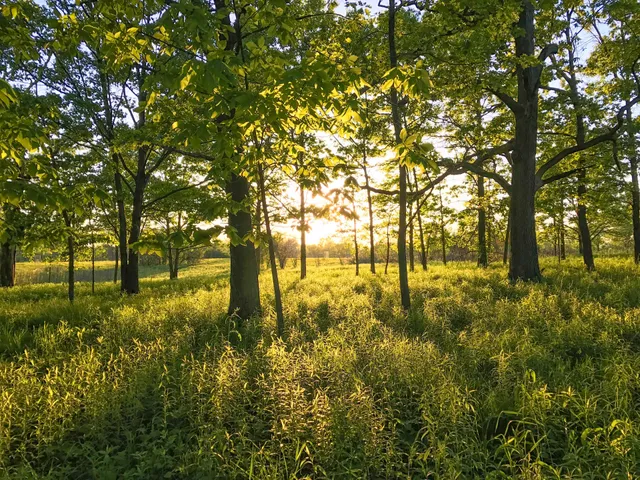 Lake County Forest Preserve