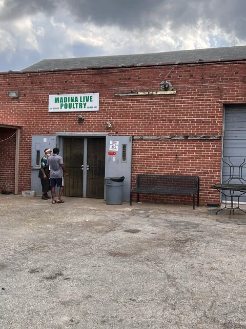 Madina Live Poultry