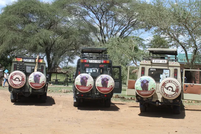 Vic Consult Tours & Safaris