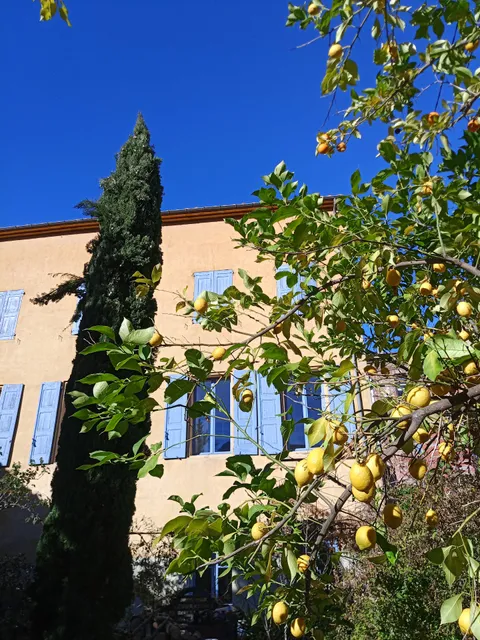 Les loges de la suite