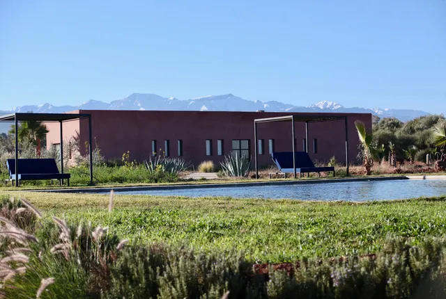 Dar Lemon & Dar Palm