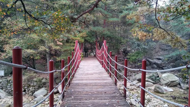 Gwanaksan Camping Area #4 (Jesayayeongjang)