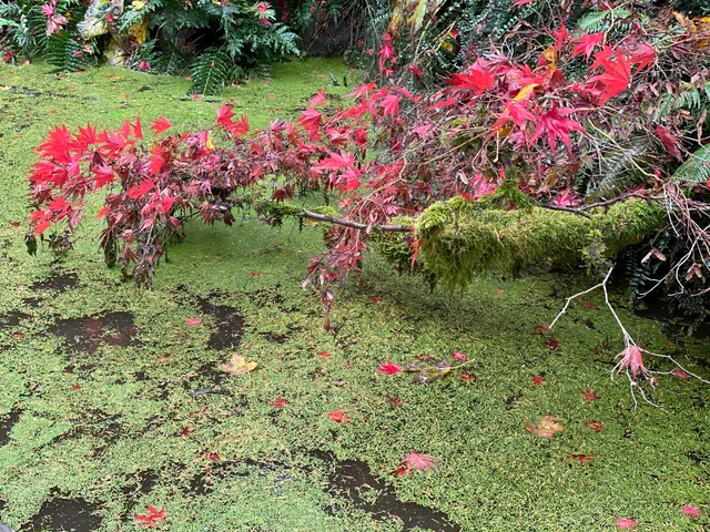 Graham Visitors Center