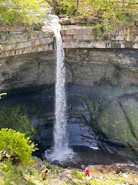 Carpenter Falls