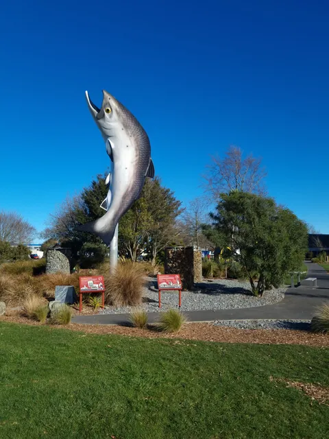 Rakaia's Iconic Salmon