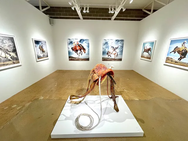 Christopher Martin Gallery