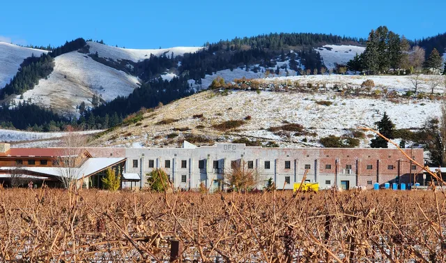 The Fruit Company - Factory Experience