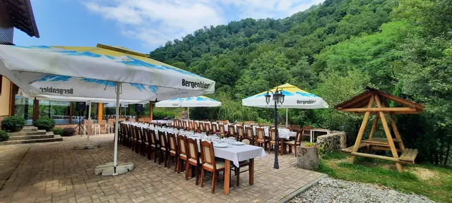 Pensiunea Lupul Dacic