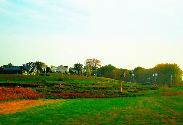 Woods and Waters Fish Farm Inc.