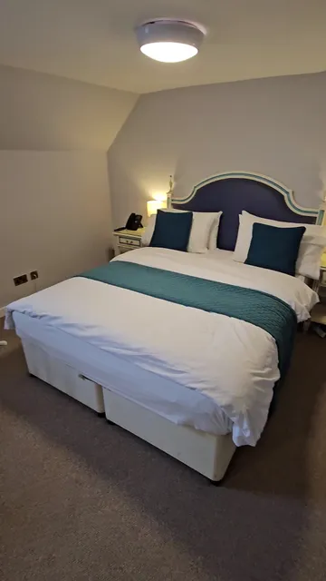 The French Partridge