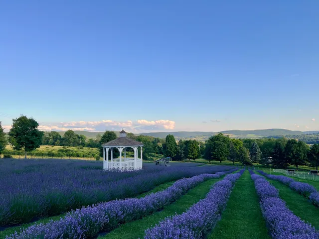Hillcrest Lavender Farm, LLC