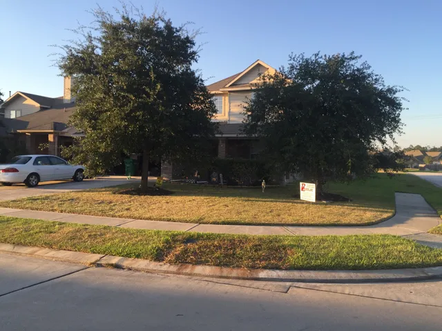 Roof Top Innovations