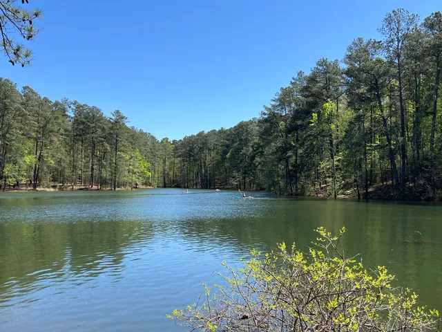 Lake Allatoona