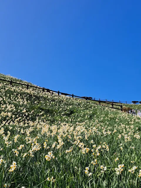 Suisen no Sato Observatory