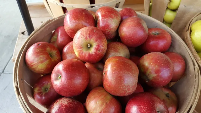 Lewis Orchards & Farm Market