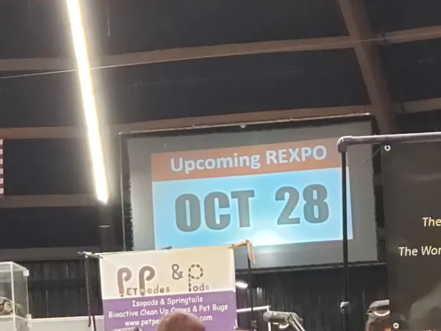 REXPO • Reptile Events