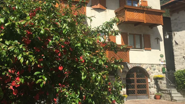 Bed & Breakfast Sotto al Bosco