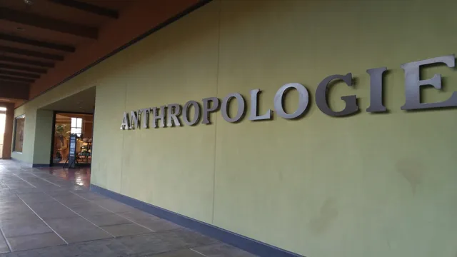 Anthropologie