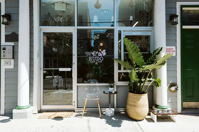 Rudo Plants & Home