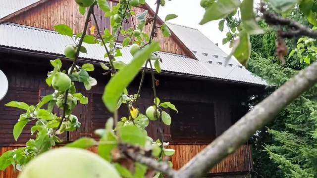 Gospodarstwo Agroturystyczne U Stasików