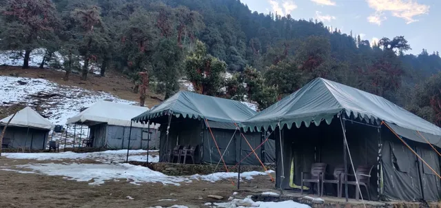 Parakeet Nest Camp Chopta