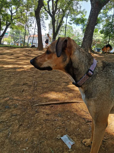 ParCão Lapa - Praça Amadeu Decome