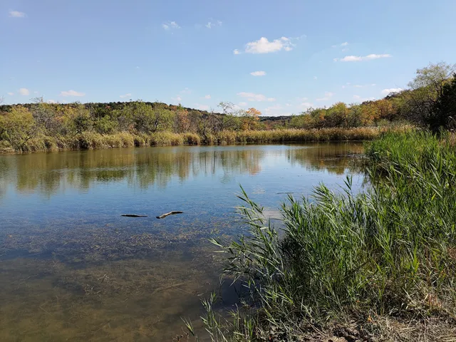 Woodland Basin Nature Area