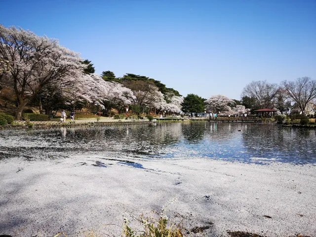 Karasugamori Park