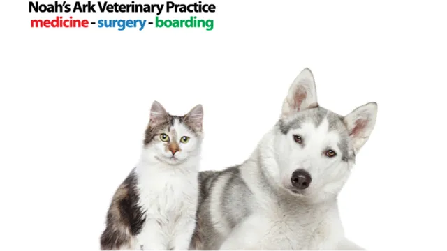 Noah's Ark Veterinary Practice