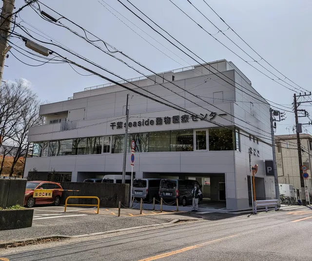Chiba Seaside Animal Medical Center