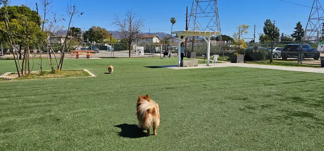 Whitnall Off Leash Dog Park