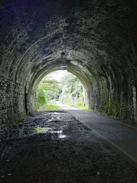 Staple Hill Tunnel