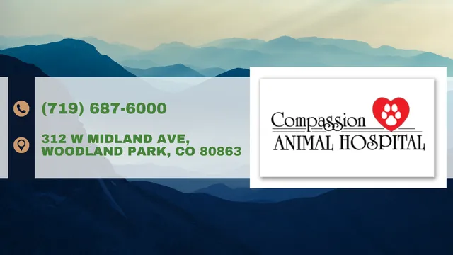 Compassion Animal Hospital