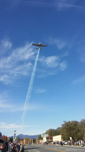 NAPA Auto Parts - Shasta Lake