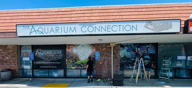 The Aquarium Connection
