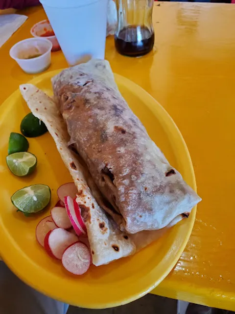 El diputado y la meche Suc. Sahuaro