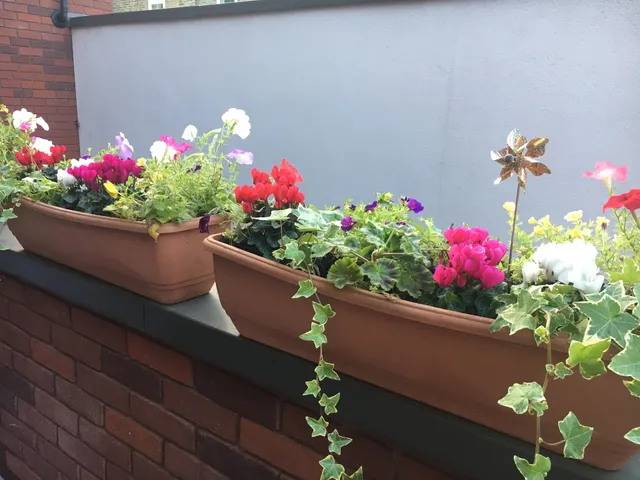 photo-2