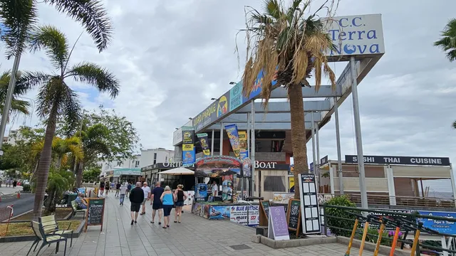 Centre comercial Terranova