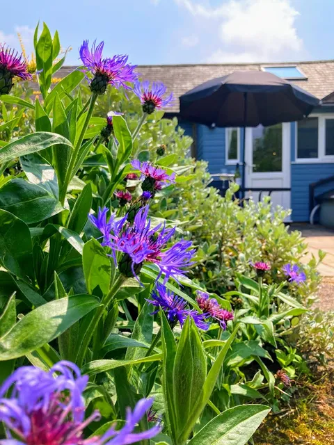 Bryn Meurig Farmhouse - Holiday Cottage in Friog, Snowdonia, near Fairbourne Beach