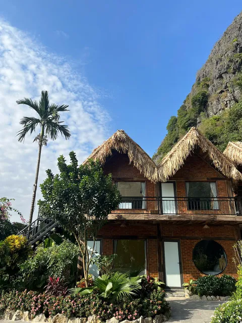 Tam Coc Golden Fields