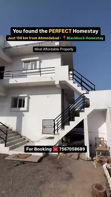 Blackbuck Homestay - Velavadar