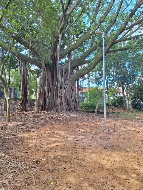 Parcão do Jardim Rizzo