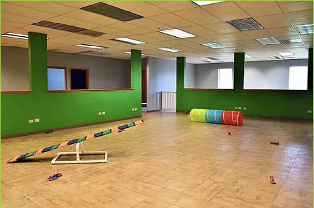 Woodstock Canine Clubhouse