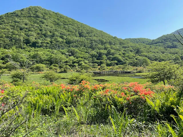 覚満淵自然遊歩道