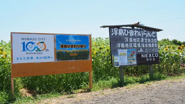 Floating Island Sunflower Land