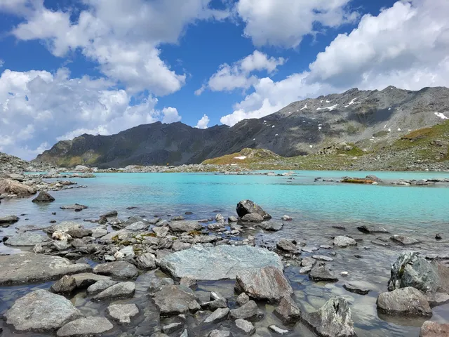 Swiss Travel Tour / Agence de voyage