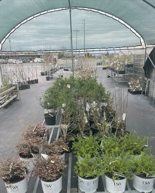 Wilson Farmers Co-Op