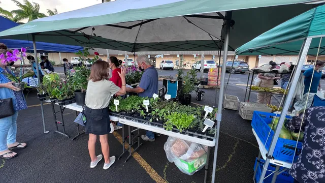 Kinoole Farmers Market