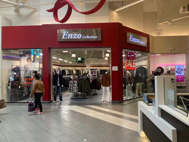 Enzo Collection