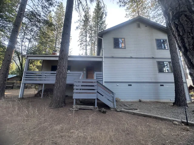 Cabin Among the Firs